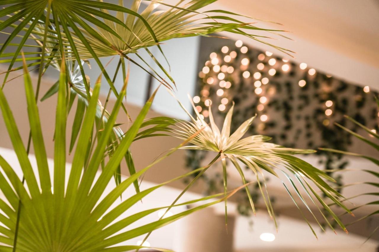 Hotel Chairu Eco